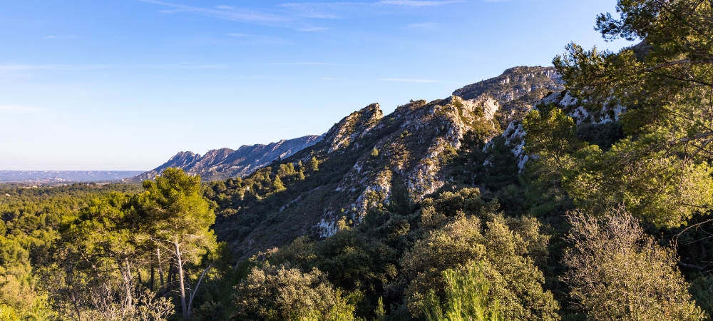 The Regional Natural Park of the Alpilles