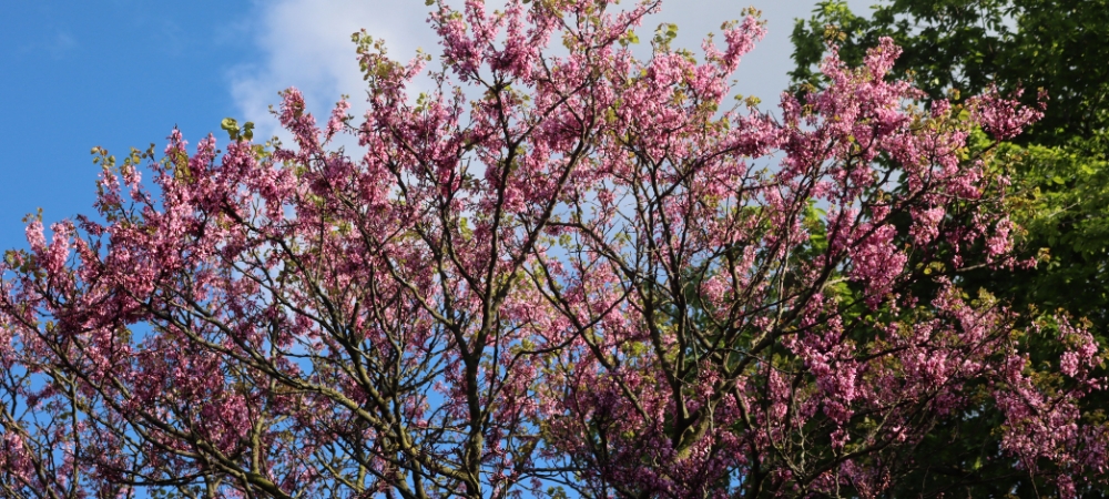 Vos vacances de Pâques à la Vallée Heureuse